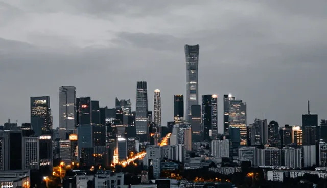 技术转让业务中项目包括技术的适用情况与限制